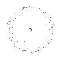 plant046
